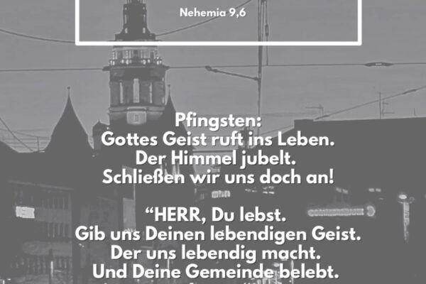Losung zu Pfingstsonntag, der 08.06.2025