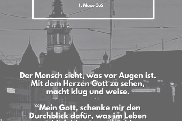 Losung zum 14.06.2025