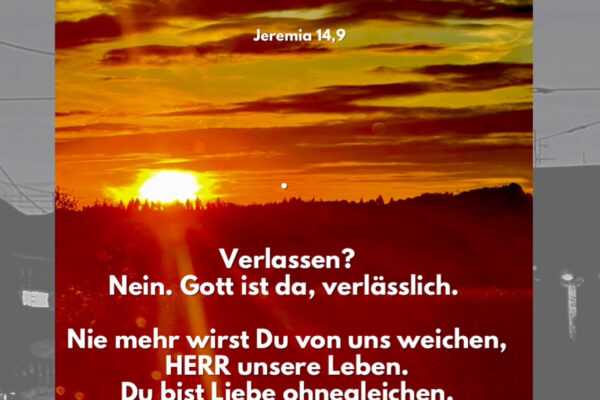 Losung zum 20.07.2025