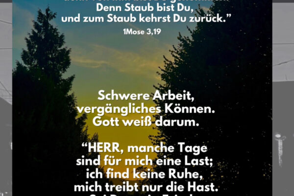 Losung zum 21.08.2025