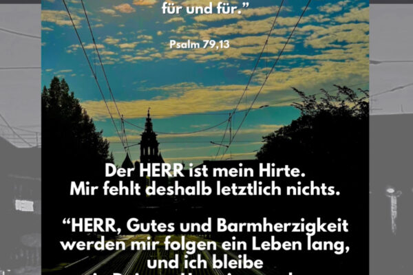 Losung zum 24.08.2025
