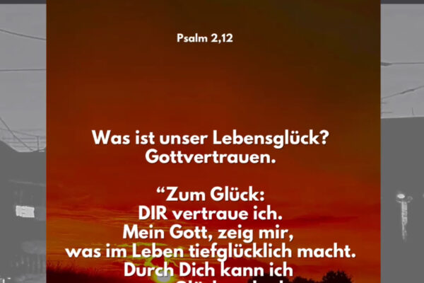Losung zum 31.08.2025