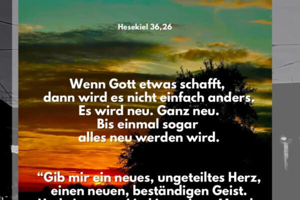 Losung zum 03.09.2025