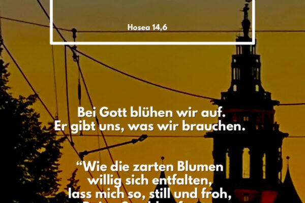 Losung zum 06.09.2025