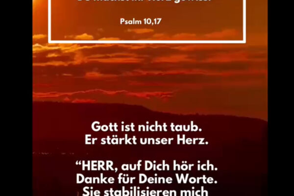 Losung zum 08.10.2025