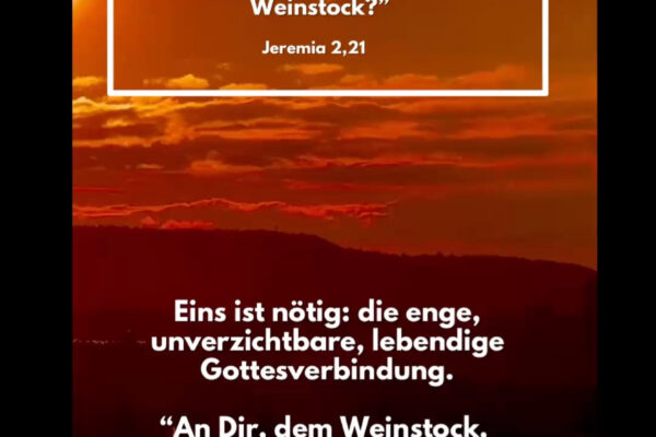 Losung zum 10.10.2025
