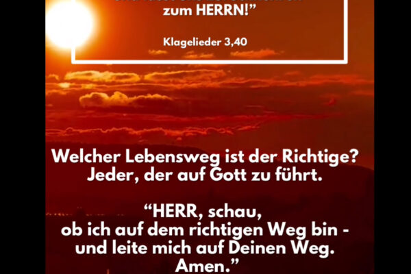 Losung zum 05.11.2025