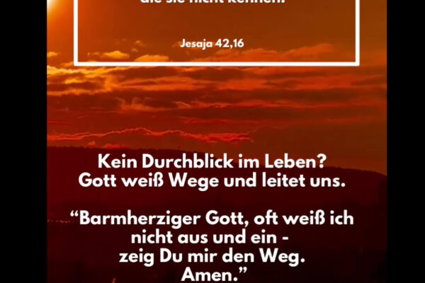 Losung zum 08.11.2025