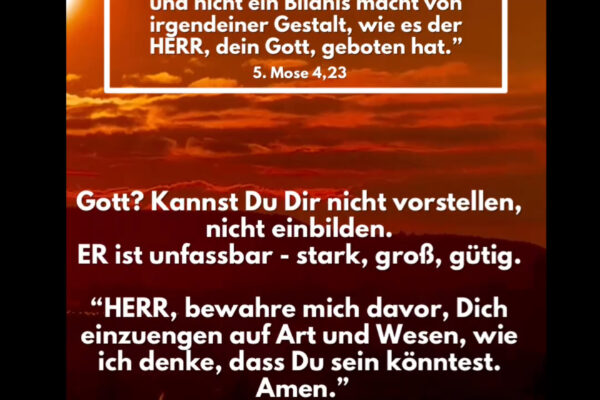 Losung zum 09.11.2025