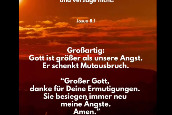 Losung zum 11.11.2025