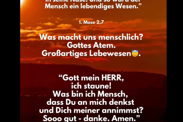 Losung zum 20.11.2025