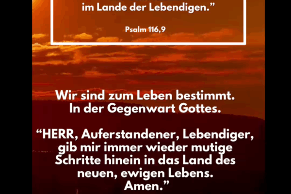 Losung zum 04.11.2025