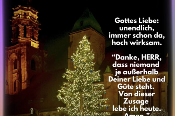 Losung zum 11.12.2025