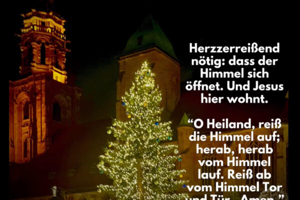Losung zum 12.12.2025