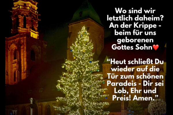 Losung zum Christfest, der 25.12.2025