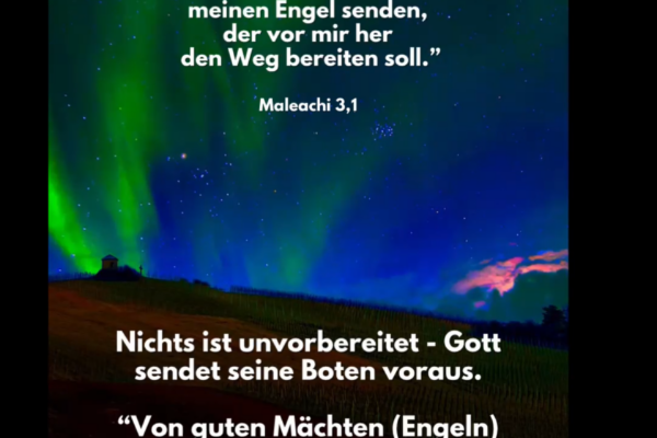 Losung zum 16.02.2026