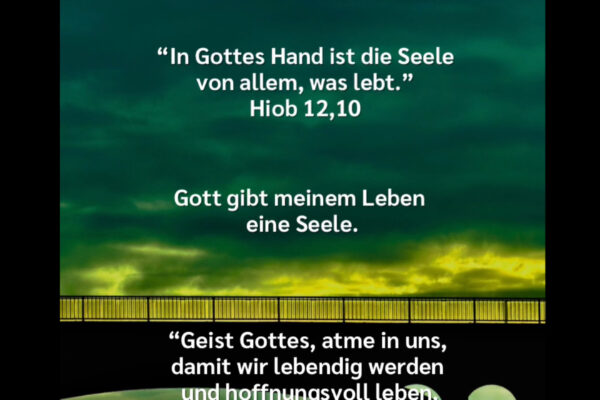 Losung zum 13.05.2026