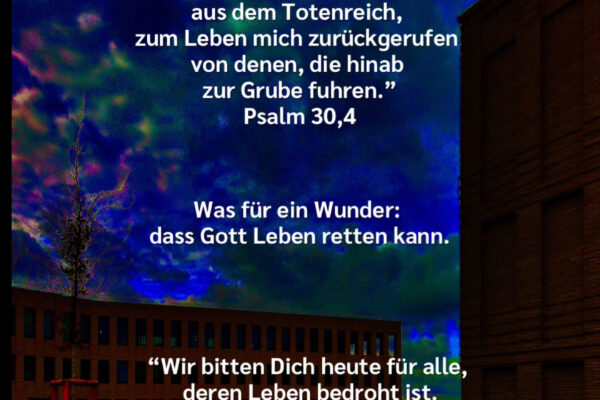 Losung zum 17.05.2026