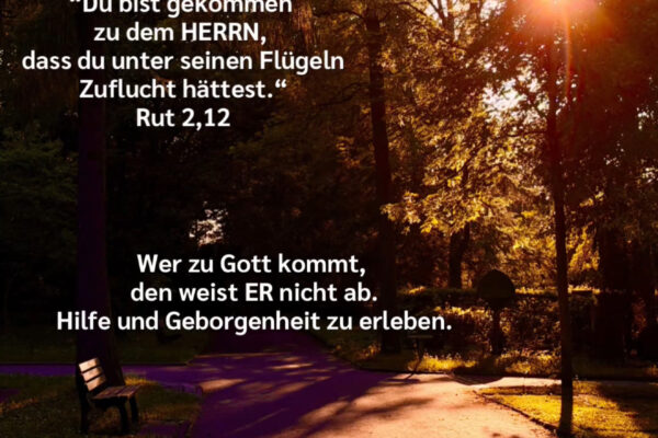 Losung zum 02.06.2026