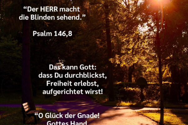Losung zum 03.06.2026