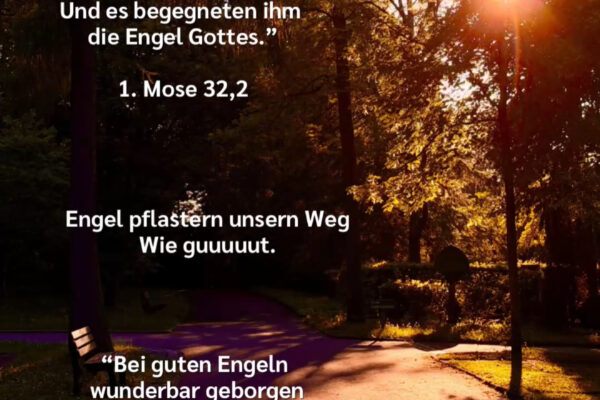 Losung zum 09.06.2026