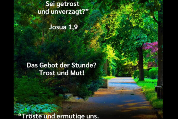 Losung zum 11.06.2026