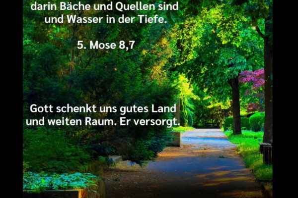 Losung zum 12.06.2026