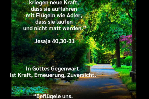 Losung zum 13.06.2026