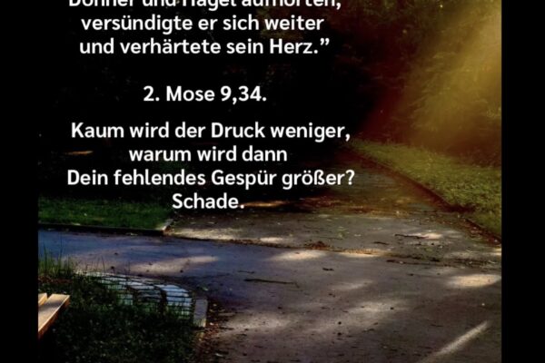 Losung zum 18.06.2026