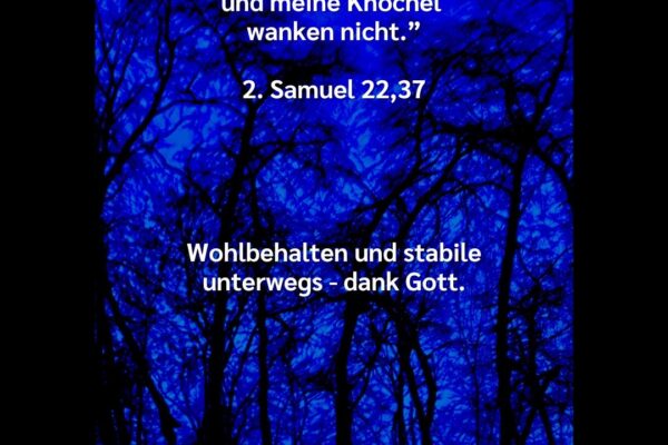 Losung zum 28.06.2026