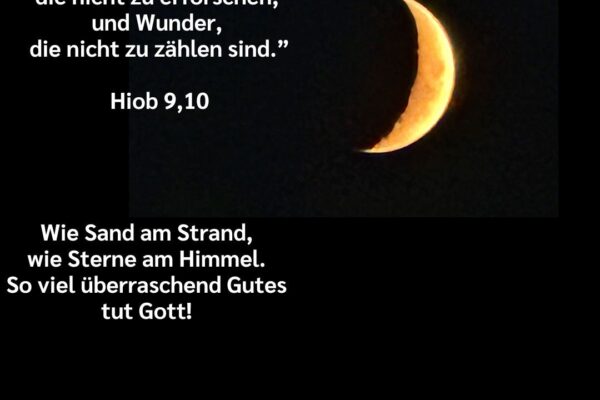 Losung zum 24.07.2026