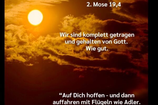 Losung zum 04.08.2026
