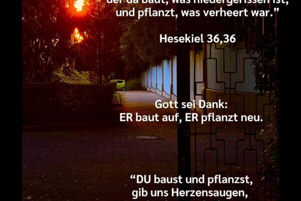 Losung zum 24.09.2026