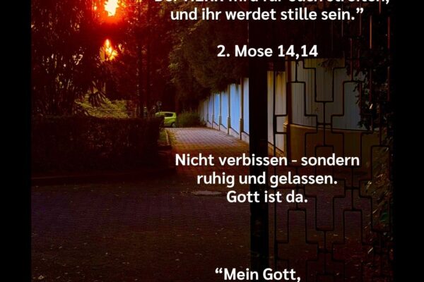 Losung zum 15.09.2026