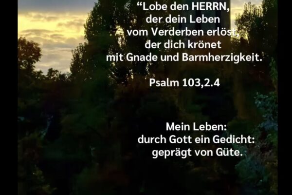 Losung zum 28.10.2026